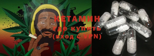 крисы Новодвинск
