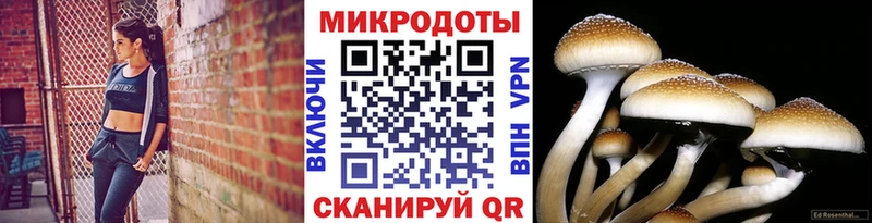 где купить наркоту  mega вход  Галлюциногенные грибы мухоморы  Железногорск-Илимский 